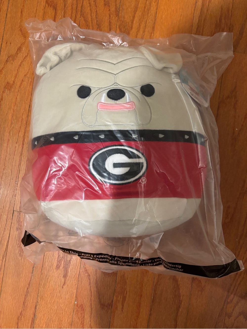 Hairy Dawg UGA Squishmallow x2